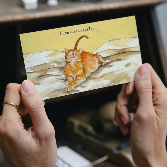 Clean Sheets Cat Greeting Card - Picture 1 of 8